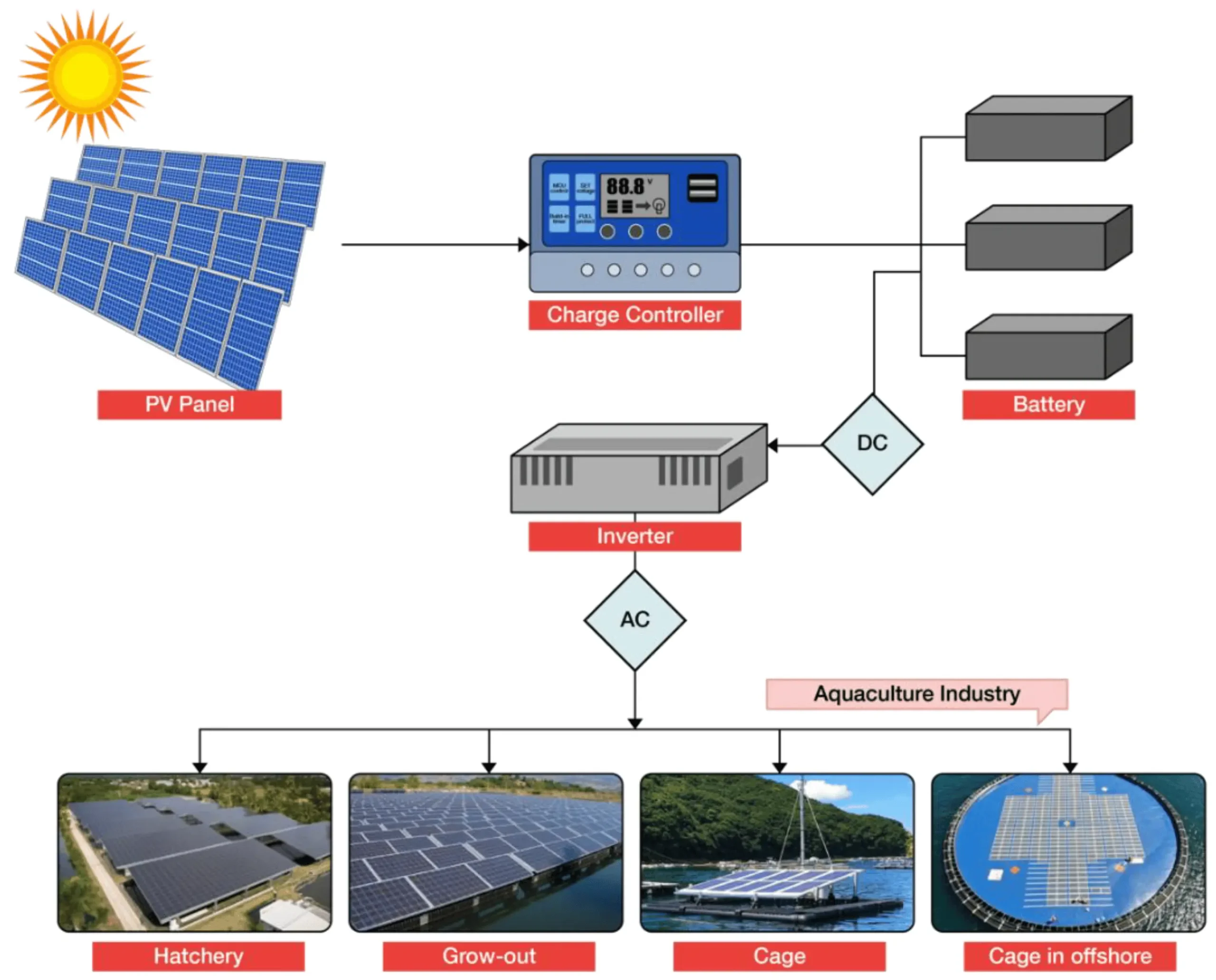 solar energy advancements in agriculture and food production systems - Can solar energy be used in preserving food