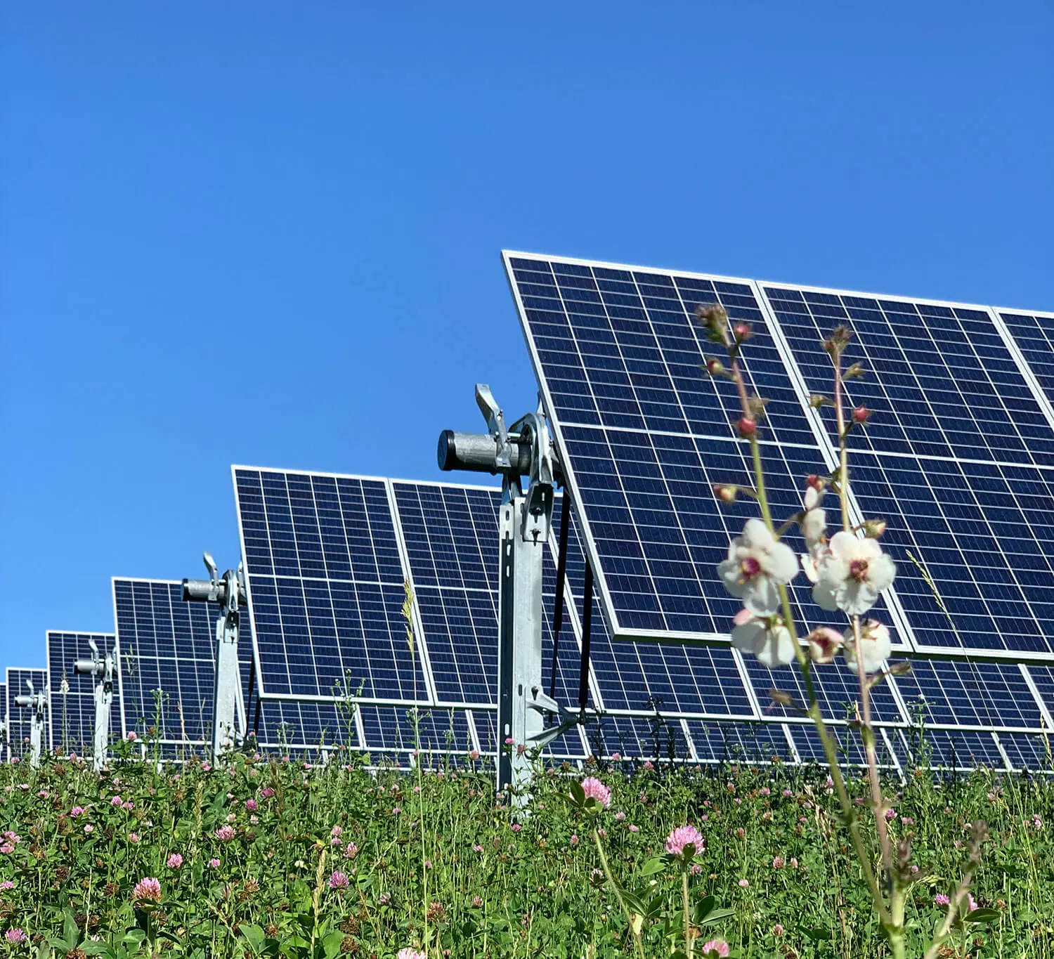 combining solar panels with agriculture - Can you combine solar and grid power