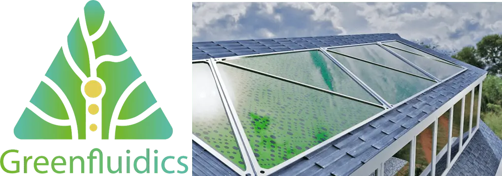 panel solar de algas - Cómo afecta la luz a las algas