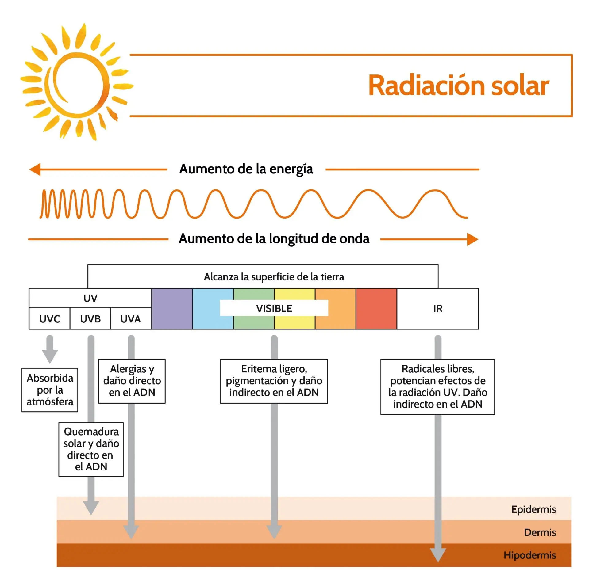 energia ondas mobil vs sol - Cómo afectan las ondas del celular a la salud