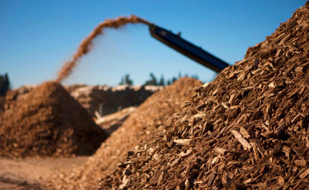 la biomasa es una fuente de energía renovable - Cuál es el aprovechamiento de la biomasa