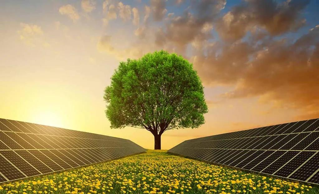 central de energia solar fotovoltaica impacto ambiental - Cuál es el impacto medioambiental de una central fotovoltaica