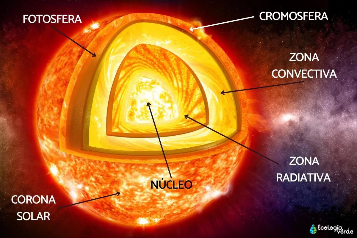 energia interna i externa del sol - Cuál es la estructura interna del Sol