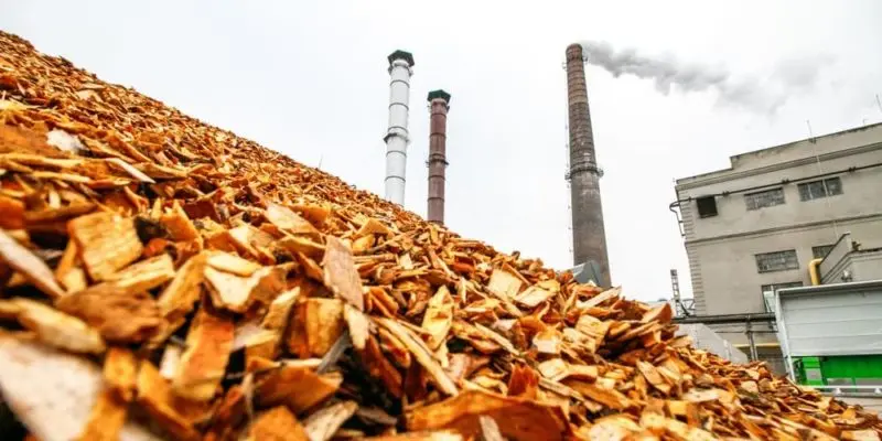 energía renovable biomasa ventajas y desventajas - Cuáles son las desventajas de la energía biomasa