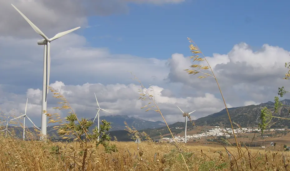 energías renovables en el campo andaluz - Cuántas centrales eolicas hay en Andalucía
