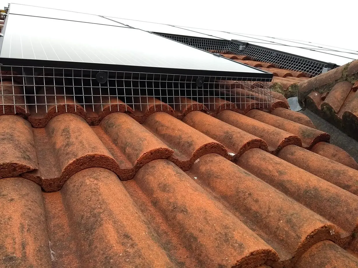 bird proofing solar panels - How much does it cost to pigeon proofing solar panels UK