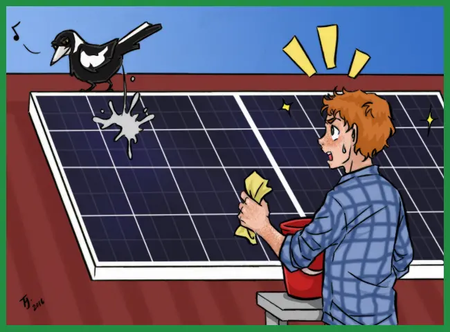roof solar panel cleaning - Is solar panel cleaning worth it