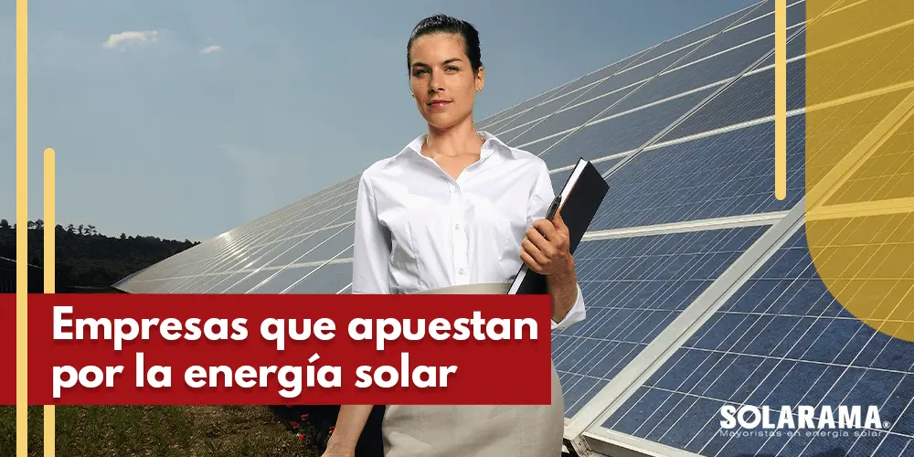 Instituciones y funcionamiento de las placas solares - Qué empresas tienen paneles solares instituciones funcionamiento placa solar - Qué empresas tienen paneles solares