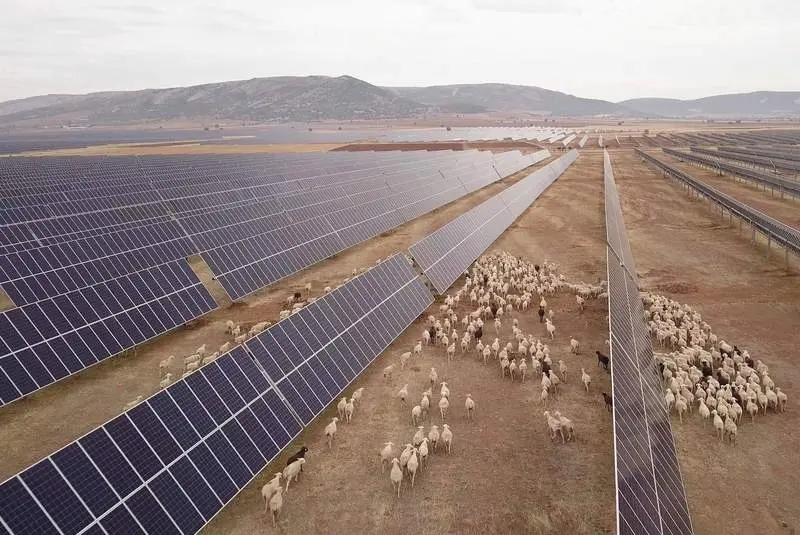 puesta en servicio de instalaciones de aprovechamiento de energías renovables - Qué es el APESp