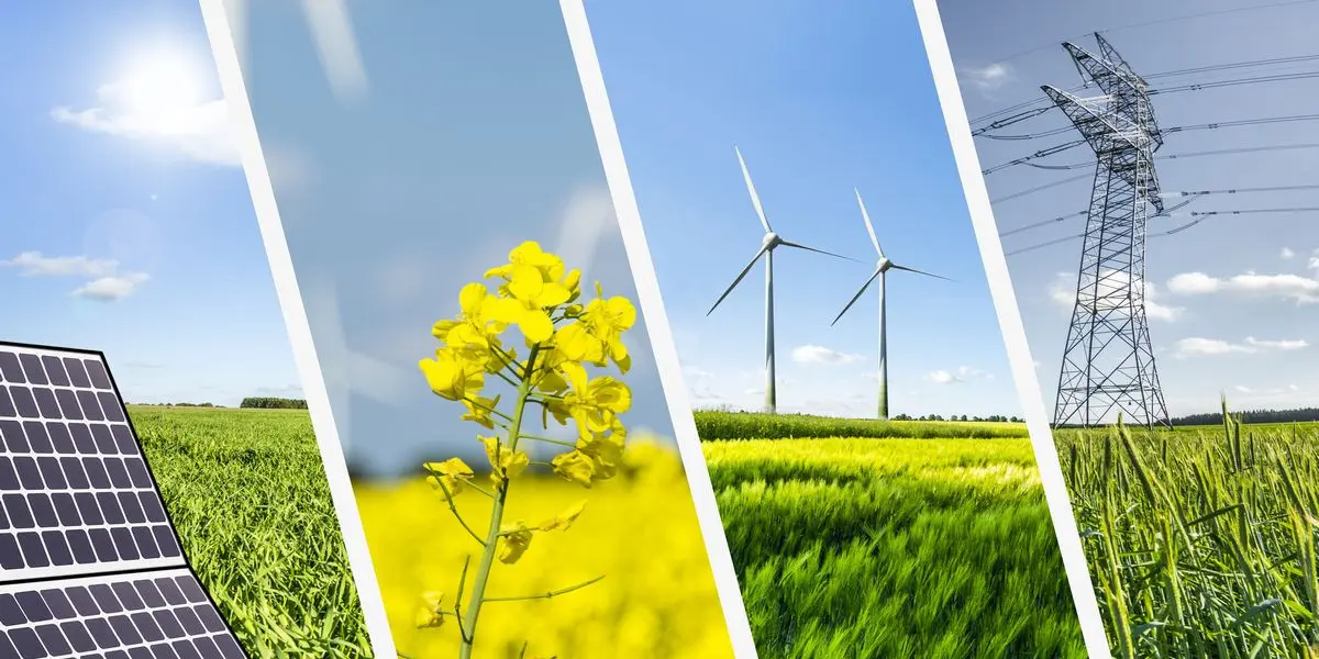 gestión ambiental y energías renovables - Qué es gestion ambiental y energética