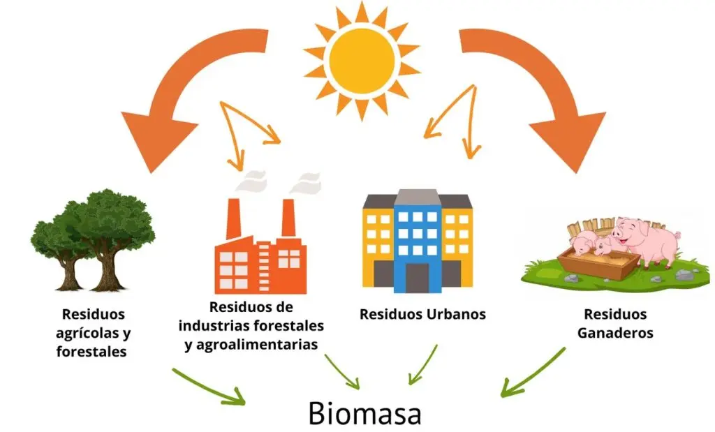 energías renovables biomasa - Qué es la biomasa y para qué se utiliza