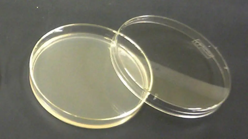 agar solido en tubo y placa de petri - Qué finalidad tiene hacer la técnica de sembrado por estría en la placa de agar