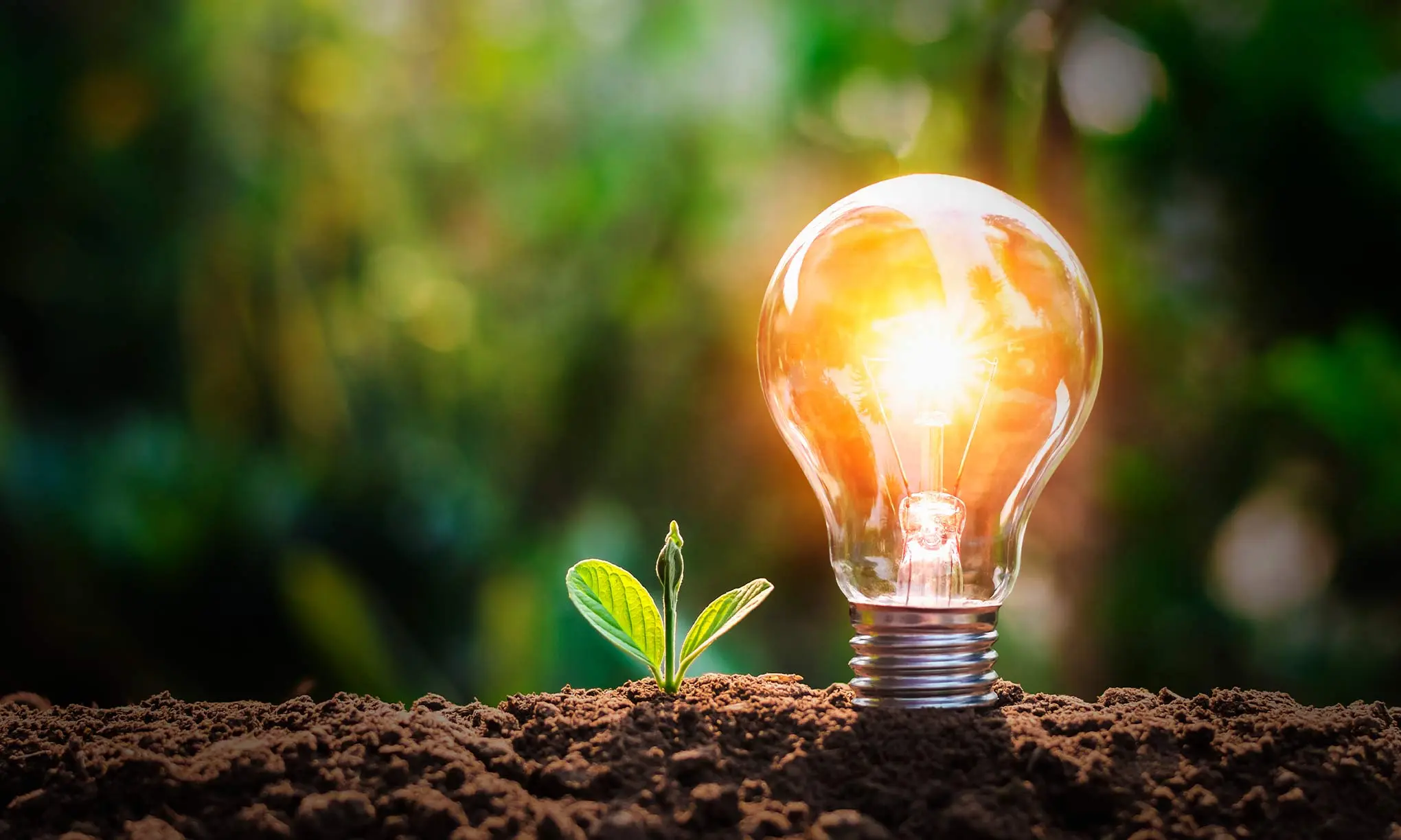 El bajo consumo de energías renovables se debe a que - Qué produce el ahorro energético el bajo consumo de energías renovables se debe a que - Qué produce el ahorro energético