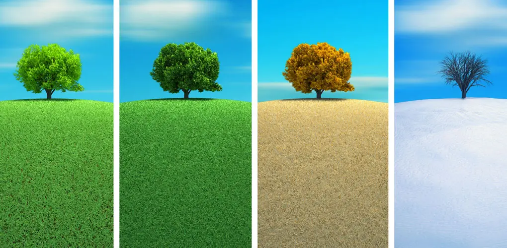 La energía no desaparece, solo se transforma - Qué significa que la energía se conserva la energia no desaparece solo se transforma - Qué significa que la energía se conserva