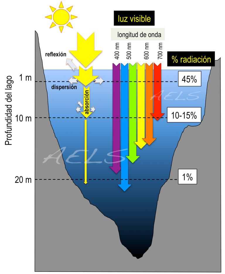 absorcion energia solar agua mar - Qué sucede cuando el agua del mar recibe energía solar