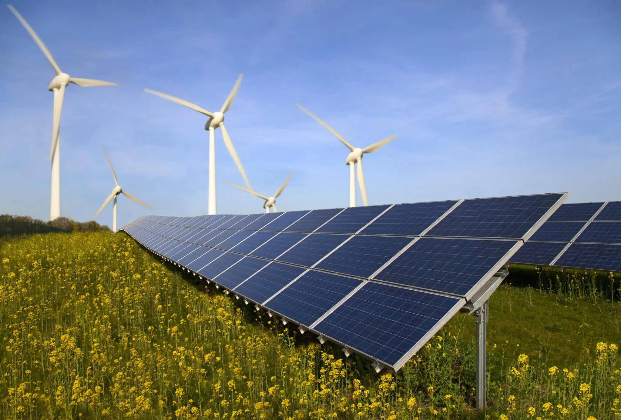 solar or wind energy - What are the advantages and disadvantages of wind energy