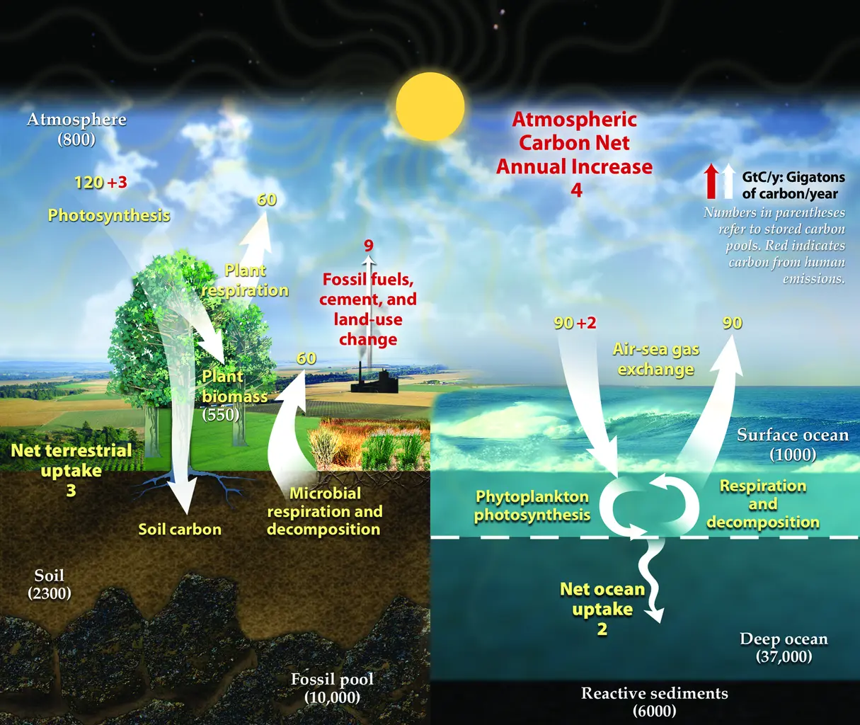 solar energy cycle - What are the stages of the solar cycle