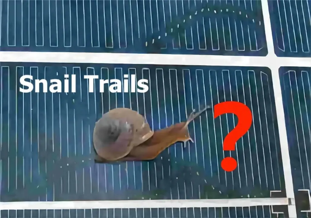 snail trails on solar panels - What are the tracks on solar panels