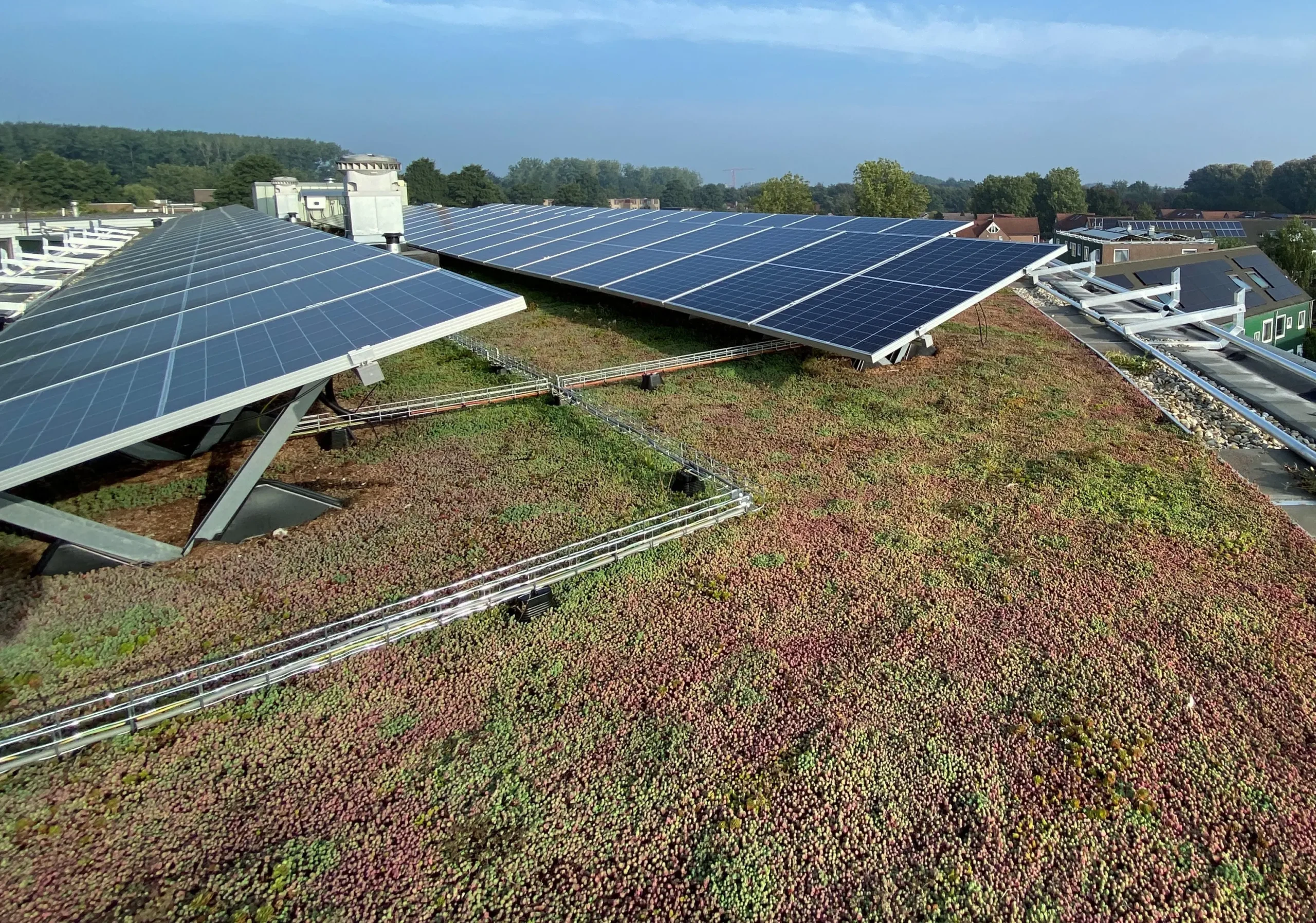 green roof and solar panels - What is a solar green roof