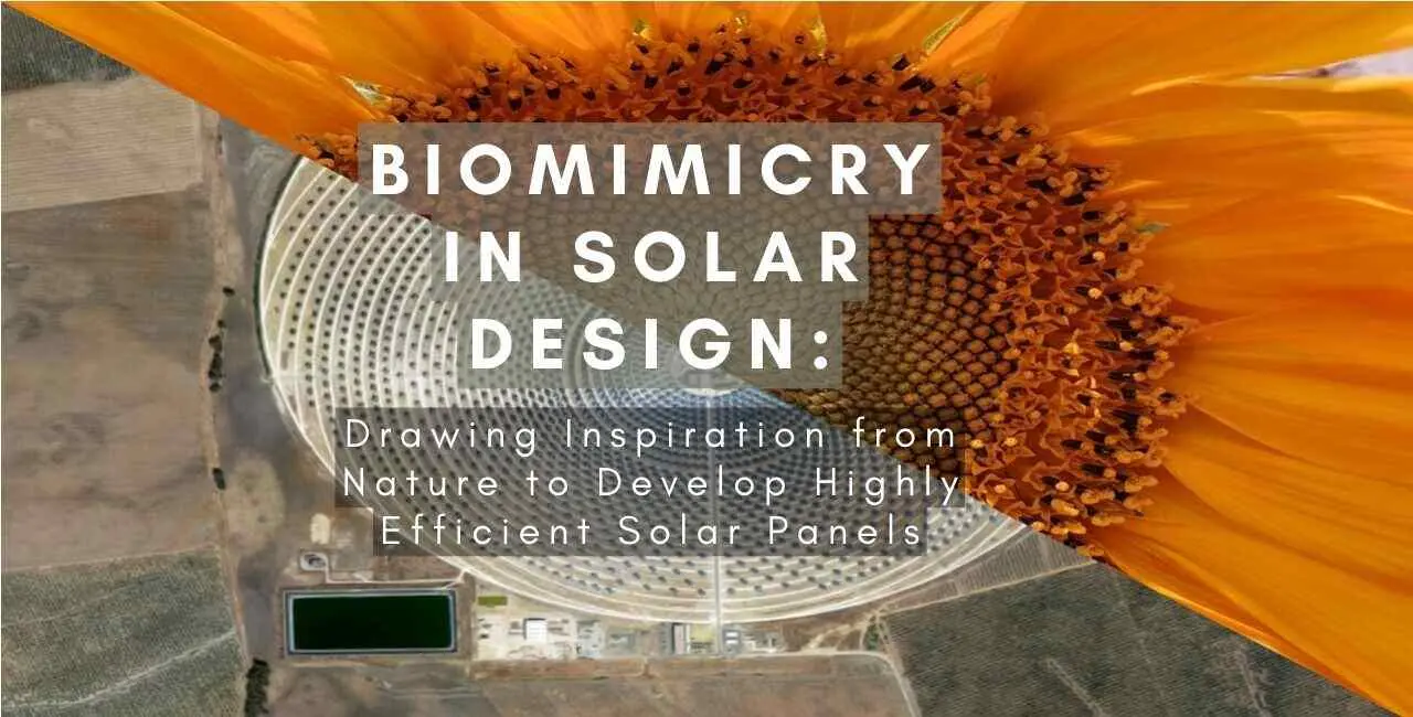 artistic solar panels - What is biomimicry solar panels