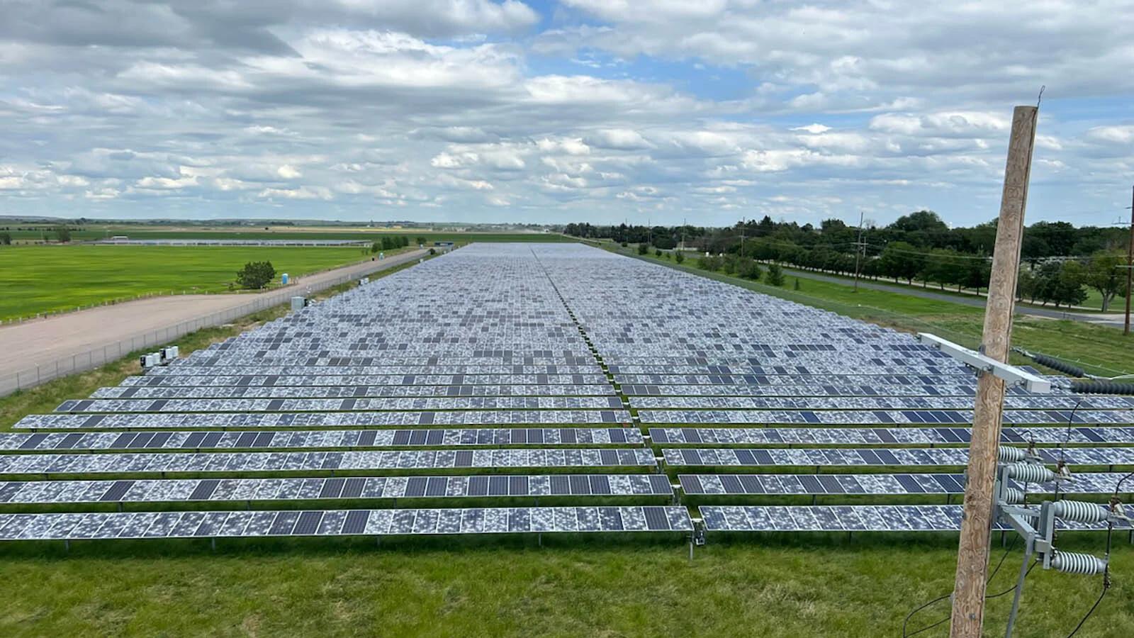 Destrucción de paneles solares: ¿Por qué está ocurriendo? - What is the incident solar radiation on Earth destroy solar panels riots - What is the incident solar radiation on Earth