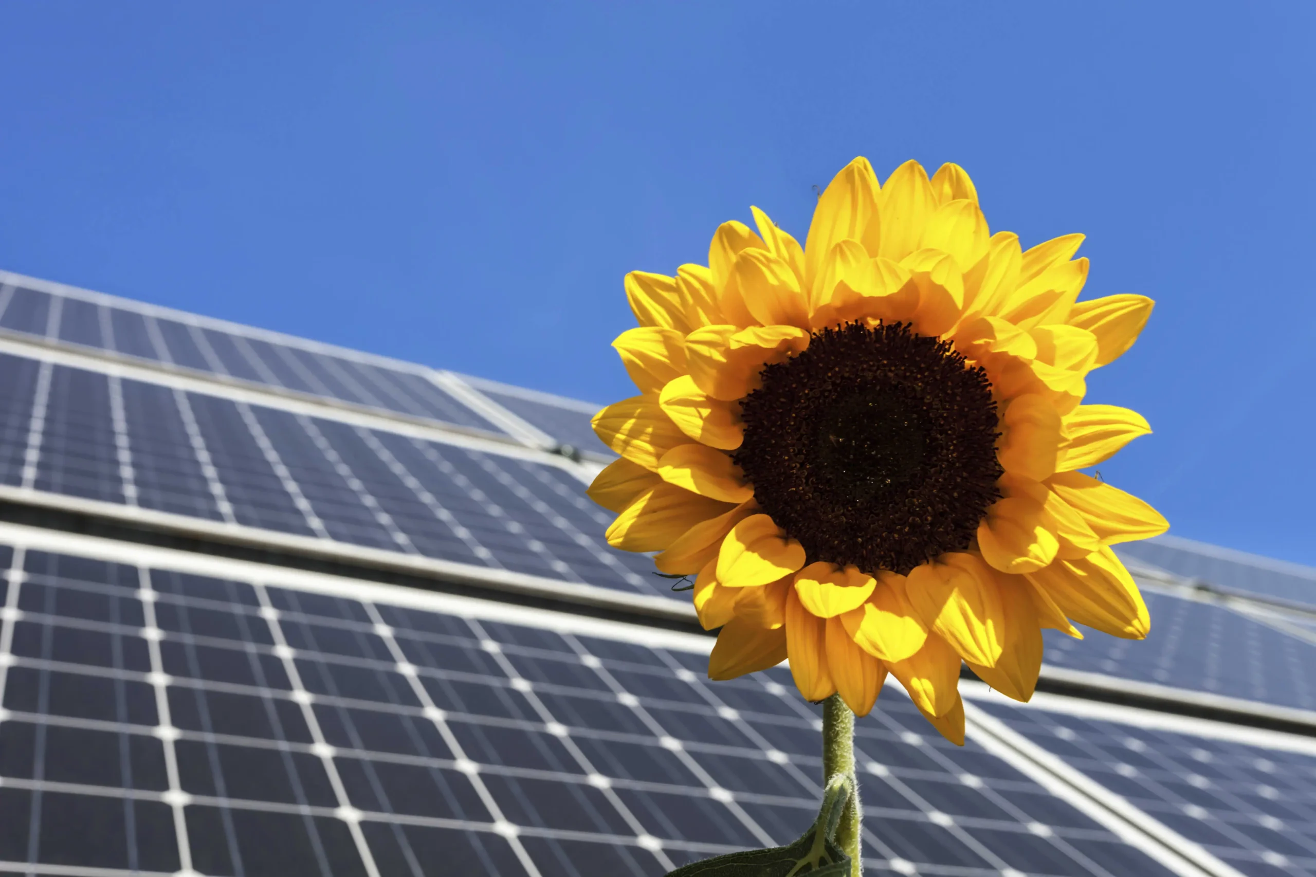 equity crowdfunding solar energy - What is the minimum investment for equity crowdfunding