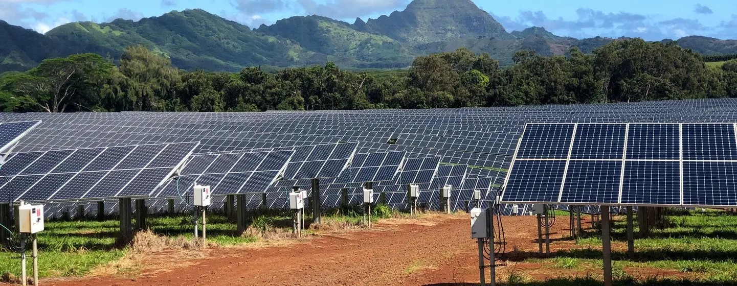 hawaii solar energy news - What percentage of Hawaii's power is solar