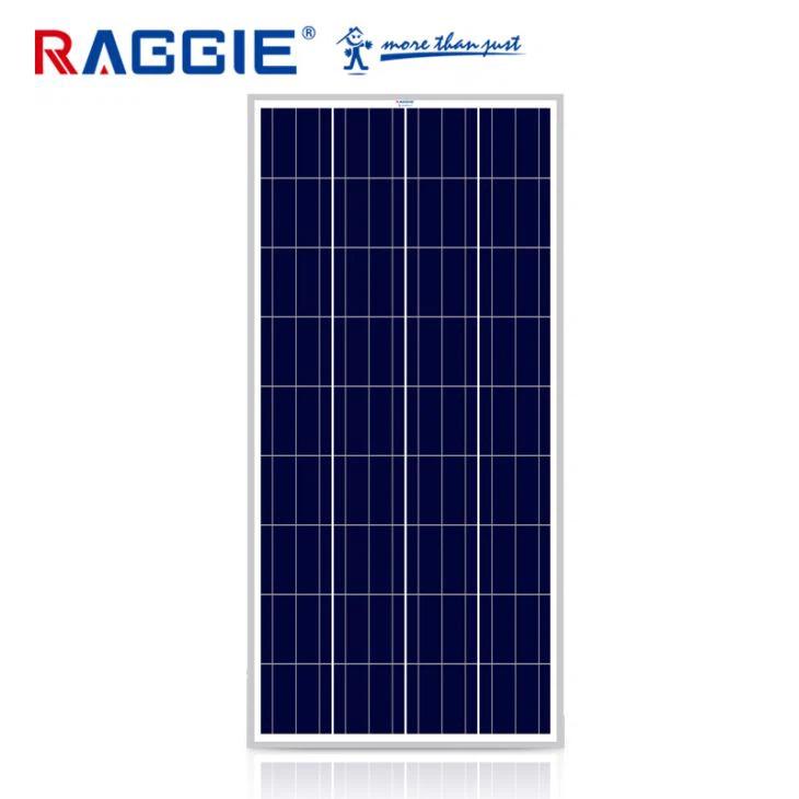 everexceed solar panel - What will a 165 watt solar panel run